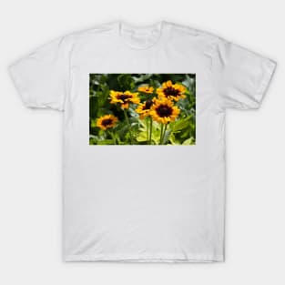 Susan T-Shirt